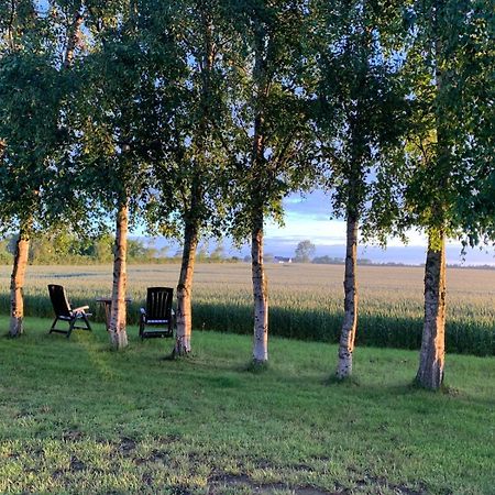 Stunning Romantic Cabin Close To Baltic See Idestrup Exterior photo